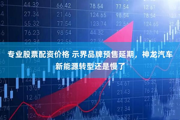 专业股票配资价格 示界品牌预售延期，神龙汽车新能源转型还是慢了