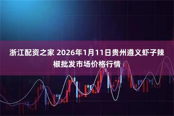 浙江配资之家 2026年1月11日贵州遵义虾子辣椒批发市场价格行情